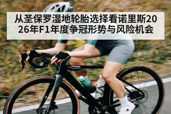 从圣保罗湿地轮胎选择看诺里斯2026年F1年度争冠形势与风险机会